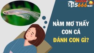 Cùng S66 Tìm Hiểu Chi Tiết Về Việc Mơ Thấy Bắt Được Cá Chép Cùng S66 Tìm Hiểu Chi Tiết Về Việc Mơ Thấy Bắt Được Cá Chép