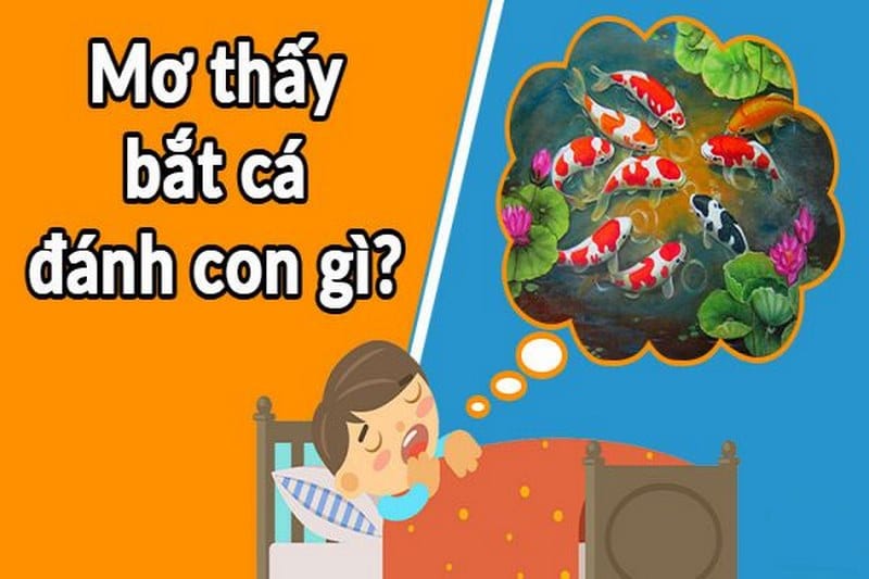 Mơ bắt cá bằng tay đánh con gì sẽ may mắn với anh em