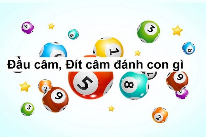 Song thủ khung 3 ngày là gì? Cách bắt cầu lô hiệu quả