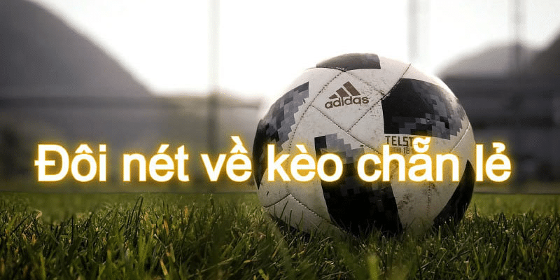 Các kiểu cược kèo chẵn lẻ thường thấy nhất