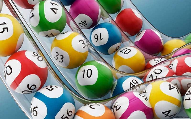 Nuôi lô bạch thủ khung 4 ngày: cách nuôi hiệu quả, bất bại Nuôi lô bạch thủ khung 4 ngày: cách nuôi hiệu quả, bất bại