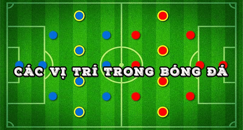 Các Vị Trí Trong Bóng Đá Để Soi Kèo Chuẩn Xác S6666 Các Vị Trí Trong Bóng Đá Để Soi Kèo Chuẩn Xác S6666